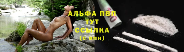 ГАЛЛЮЦИНОГЕННЫЕ ГРИБЫ Кемь