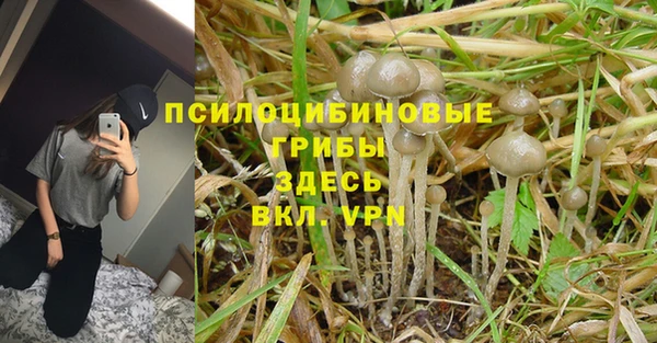 марихуана Кукмор